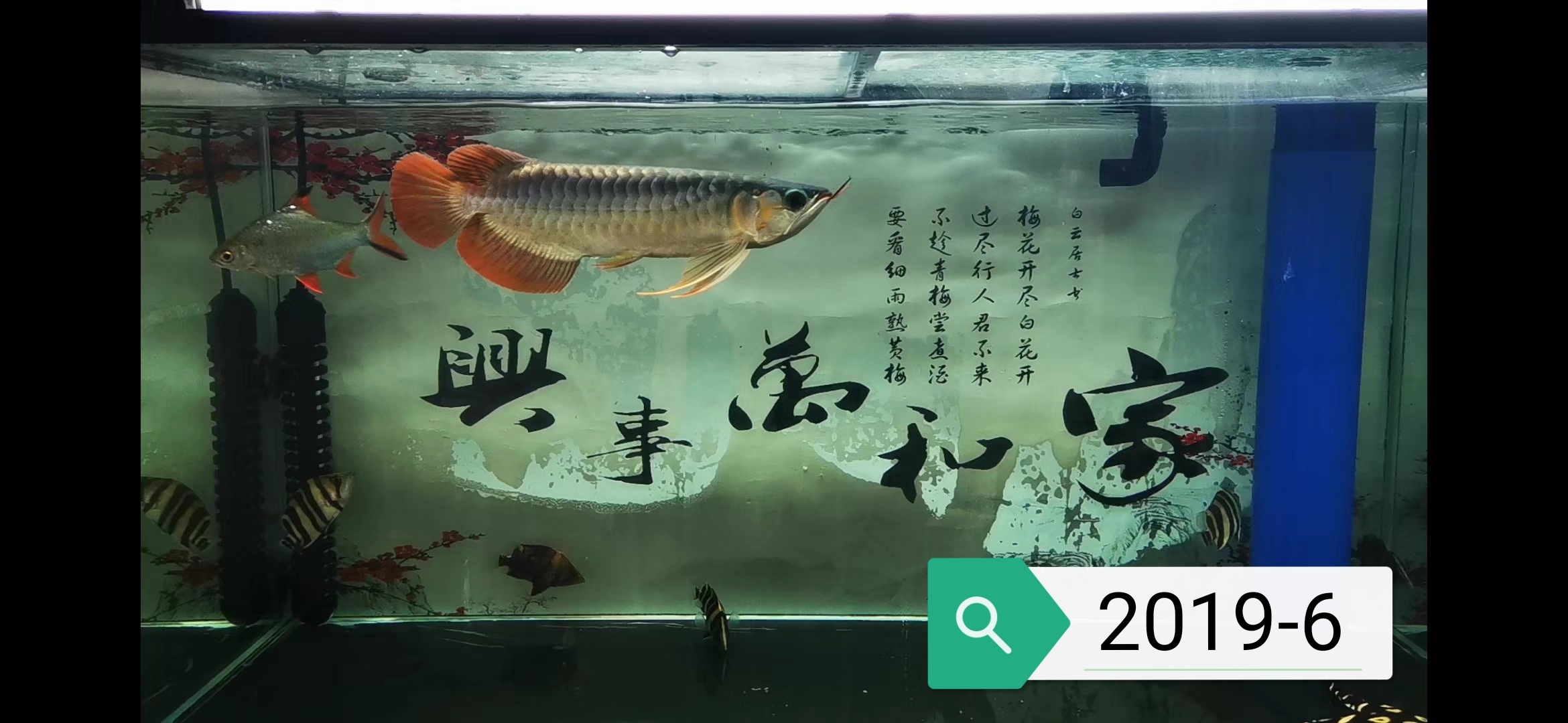 上饒水族館暗里著迷跌跌撞撞九個(gè)月了