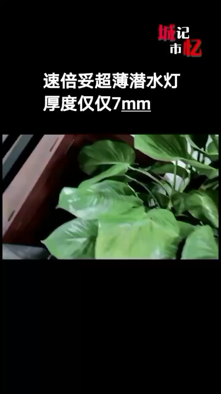 速倍妥新品燈管