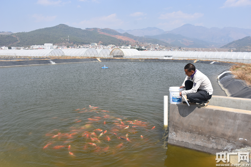 泰州水族館讓我們一起來(lái)熟悉一下鸚鵡魚(yú)六