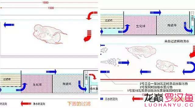 養(yǎng)好魚怎么可以少了過濾