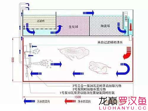 養(yǎng)好魚怎么可以少了過(guò)濾