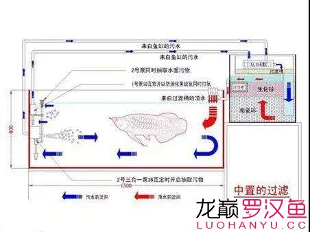 養(yǎng)好魚怎么可以少了過(guò)濾