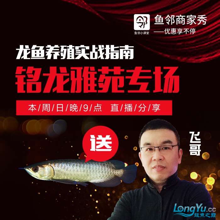 哈爾濱水族館如何領(lǐng)取價(jià)值3888的伍星古典過(guò)背金龍？