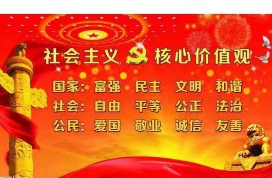 請熱愛我們的祖國 粗線銀版魚苗 第3張