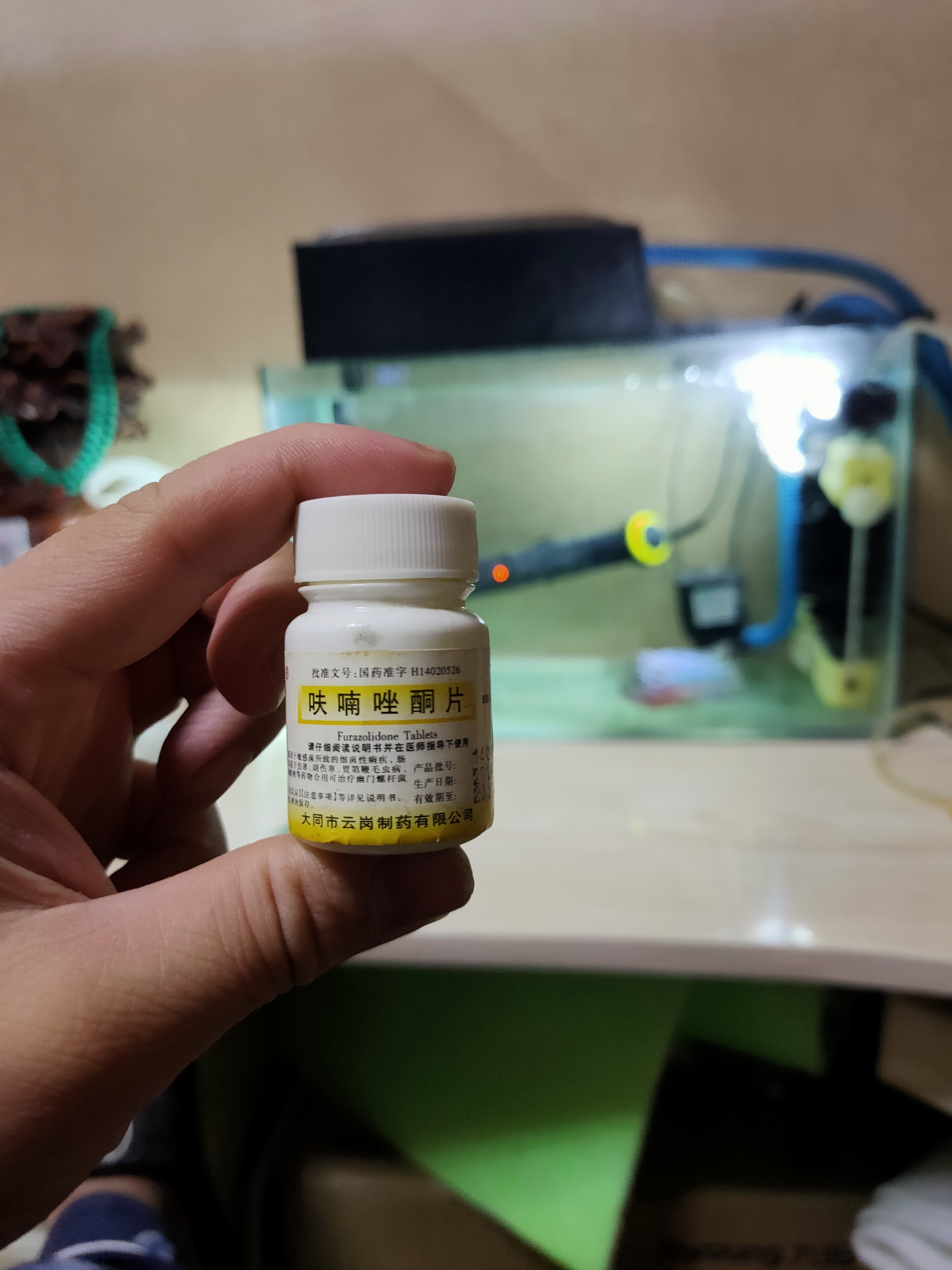 接上一片腸炎治療法 黑桃A魚 第3張