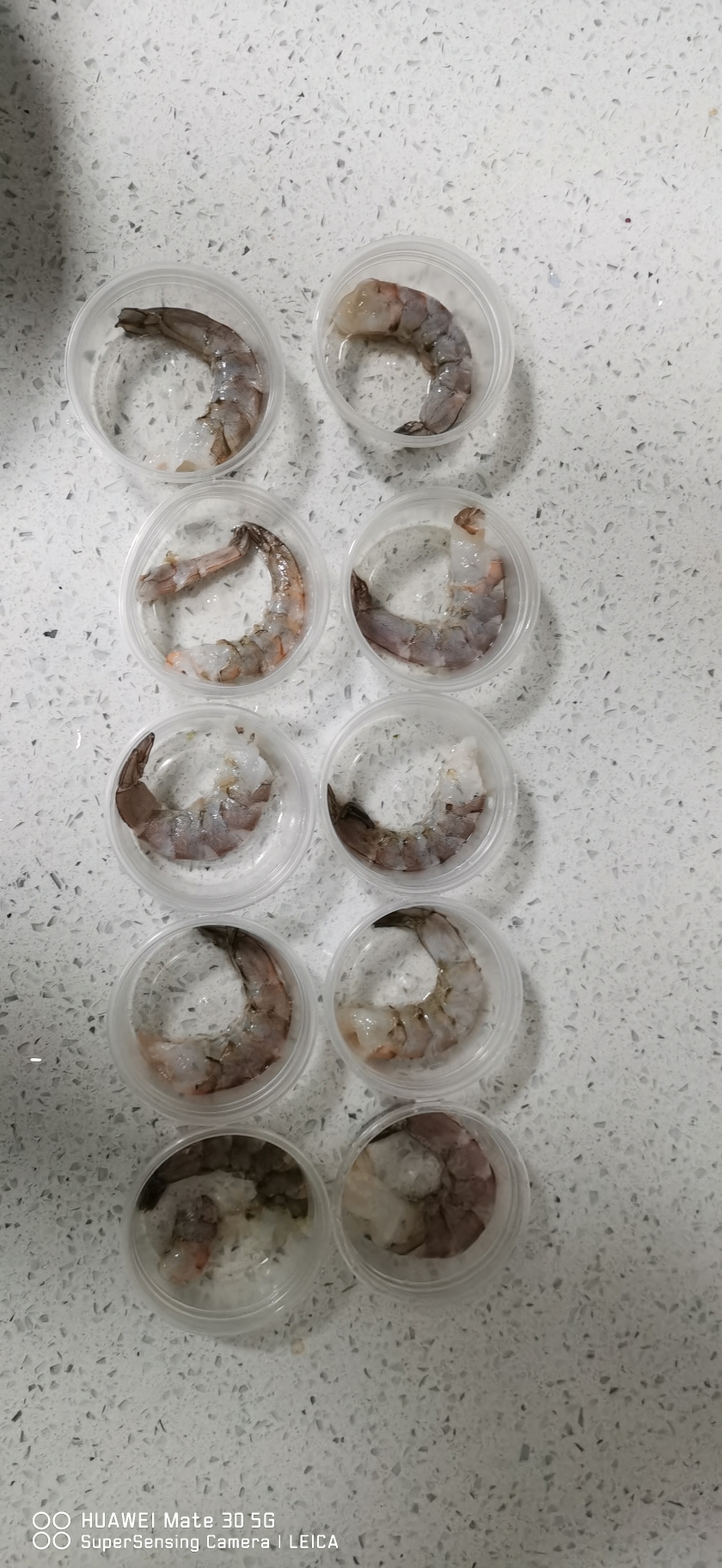 菏澤觀賞魚市場(chǎng)愛魚健康成長從處理魚食開始 觀賞魚市場(chǎng)（混養(yǎng)魚） 第5張