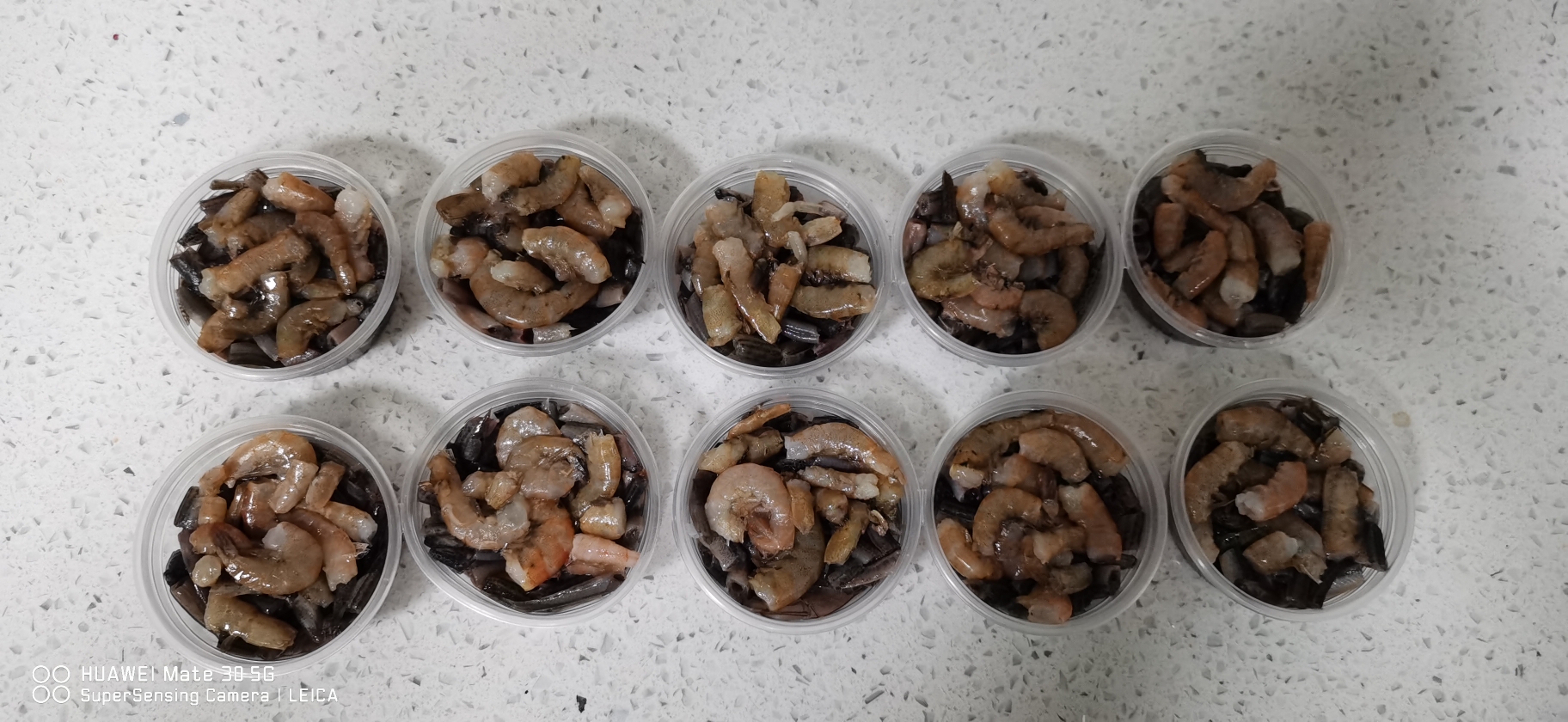 菏澤觀賞魚市場(chǎng)愛魚健康成長從處理魚食開始 觀賞魚市場(chǎng)（混養(yǎng)魚） 第7張