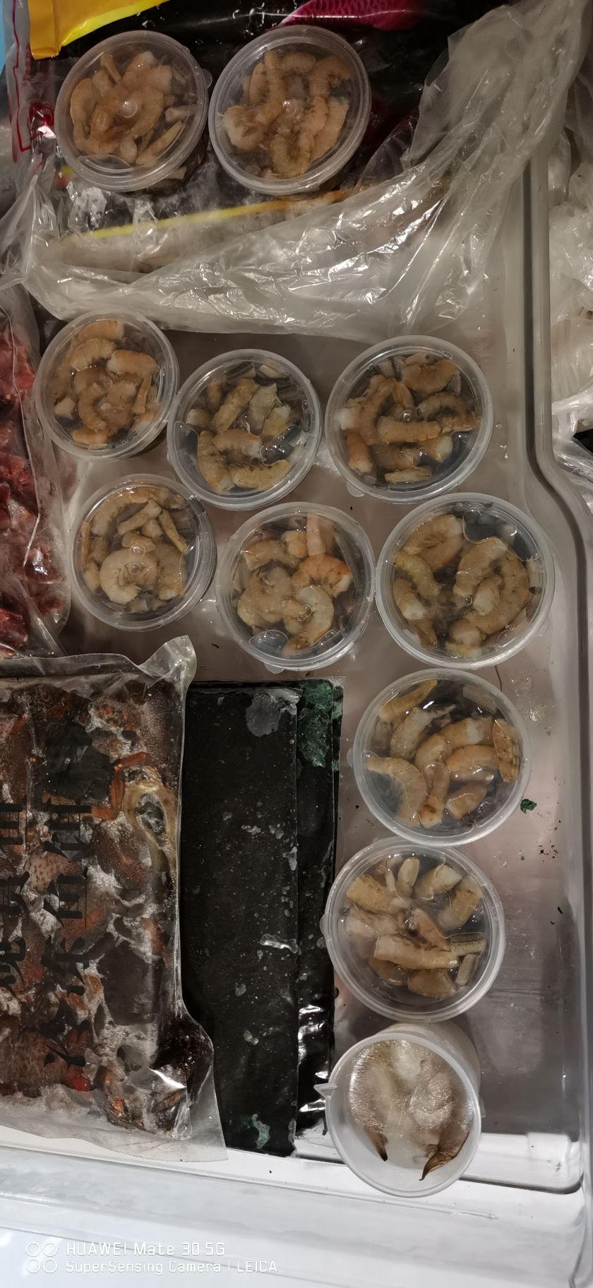 菏澤觀賞魚市場(chǎng)愛魚健康成長從處理魚食開始 觀賞魚市場(chǎng)（混養(yǎng)魚） 第10張