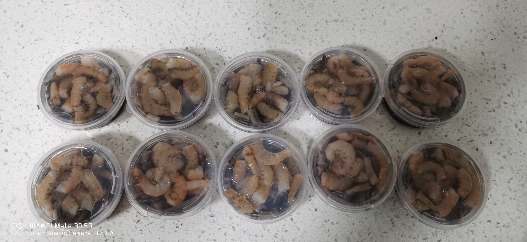 菏澤觀賞魚市場(chǎng)愛魚健康成長從處理魚食開始 觀賞魚市場(chǎng)（混養(yǎng)魚） 第9張