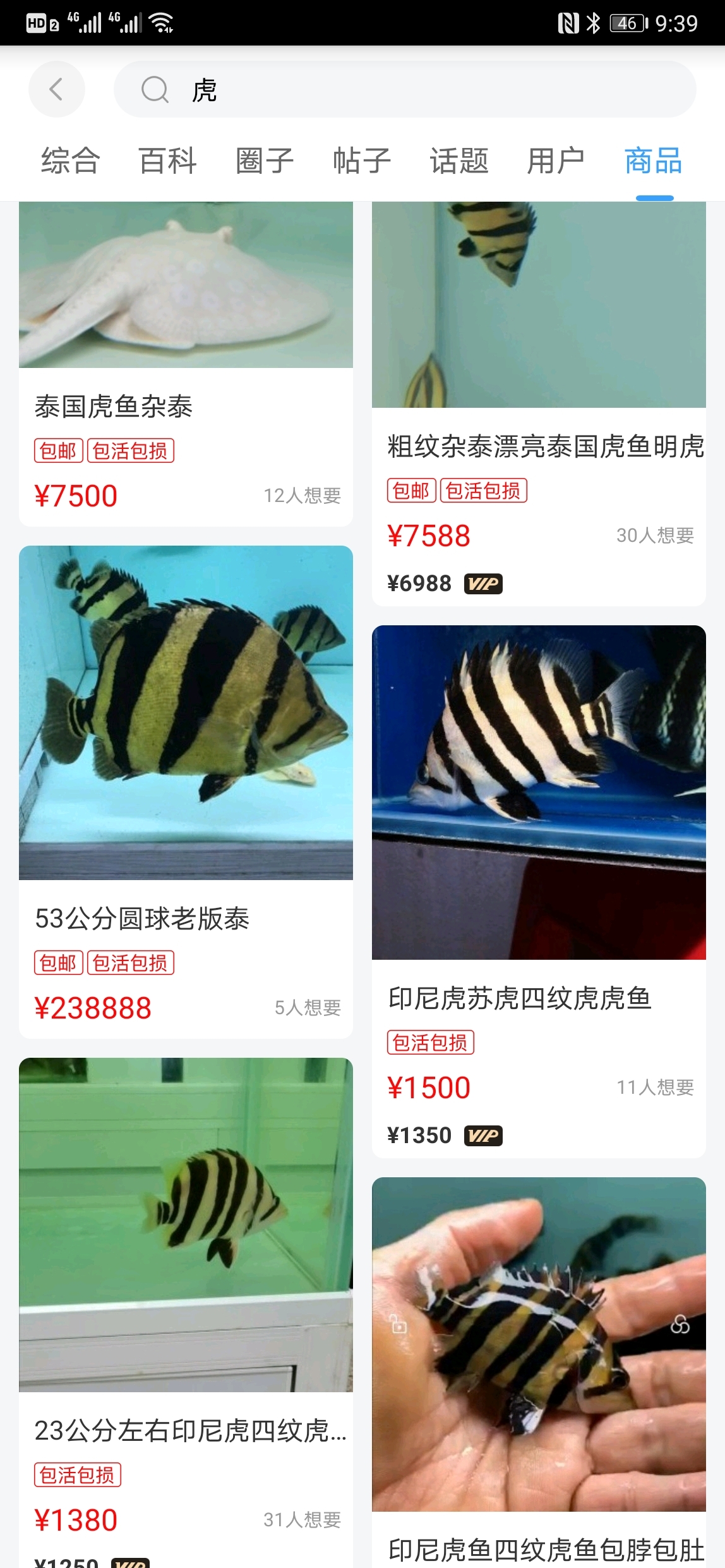 誰(shuí)家賣(mài)條虎給我魚(yú)友最好