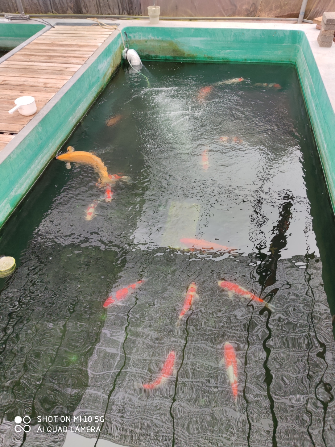 懷化水族館正規(guī)軍來了 水族維護服務（上門） 第1張