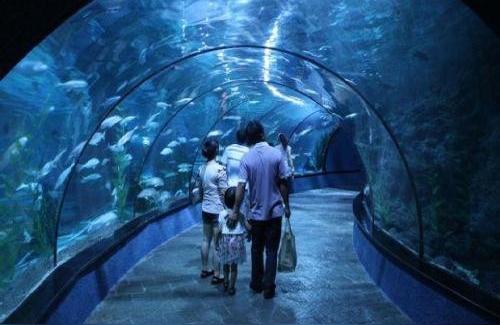 北京水族館