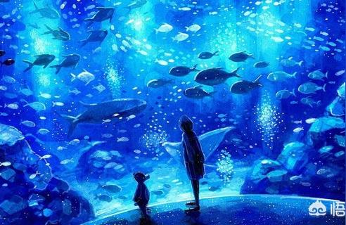 阿里水族館 觀賞魚企業(yè)目錄 第1張