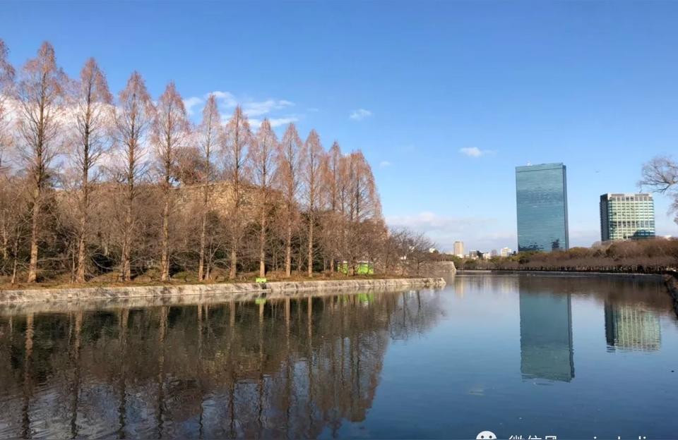 保山水族館 觀賞魚企業(yè)目錄