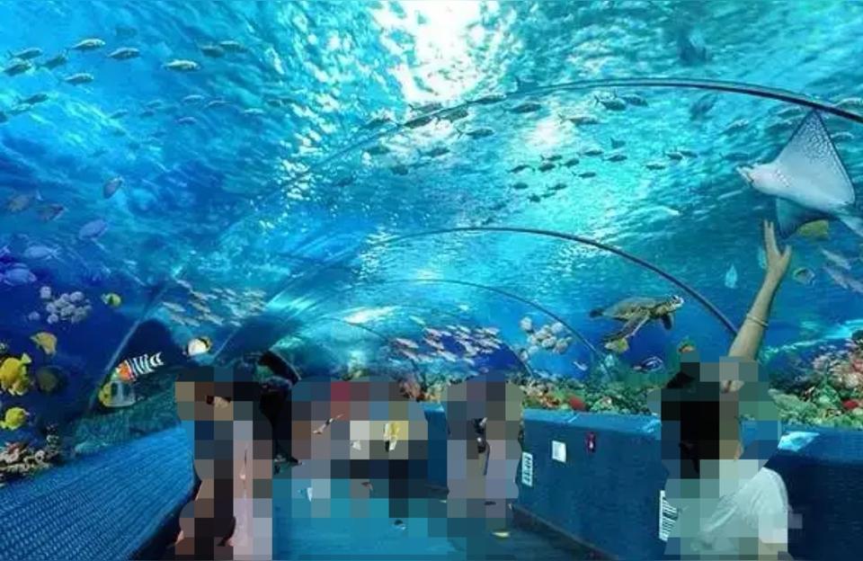 長(zhǎng)沙水族館