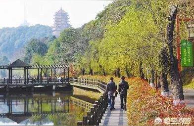 德陽(yáng)水族館