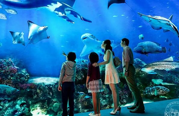 甘南州水族館