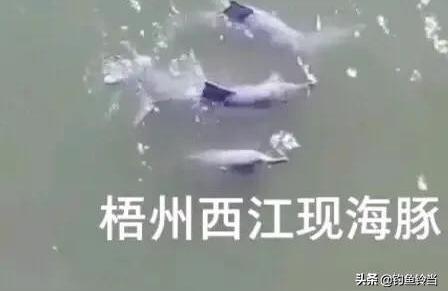 梧州水族館