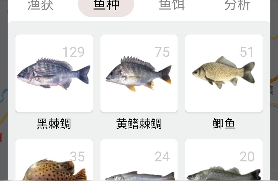 北海觀賞魚