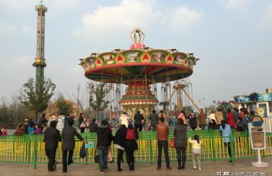 鹽城觀賞魚:天使魚為什么那么多顏色