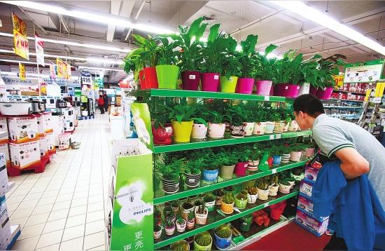 楊凌花鳥魚蟲市場:貴陽花鳥魚蟲批發(fā)市場 觀賞魚企業(yè)目錄