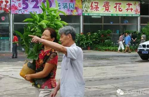 無錫花鳥魚蟲市場(chǎng):無錫歐尚超市有沒有金魚缸賣