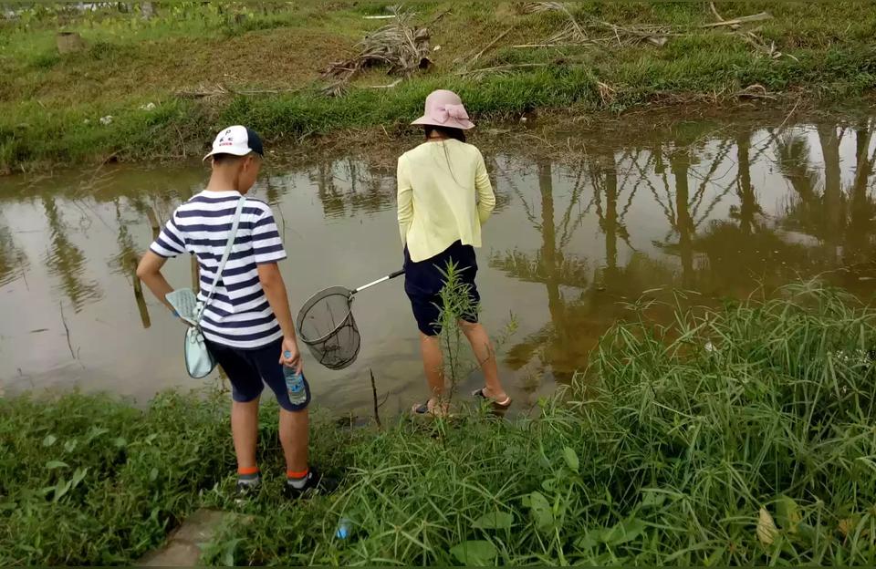 ?？隰~缸(魚缸尺寸與養(yǎng)魚數(shù)量對照表) 魚缸百科