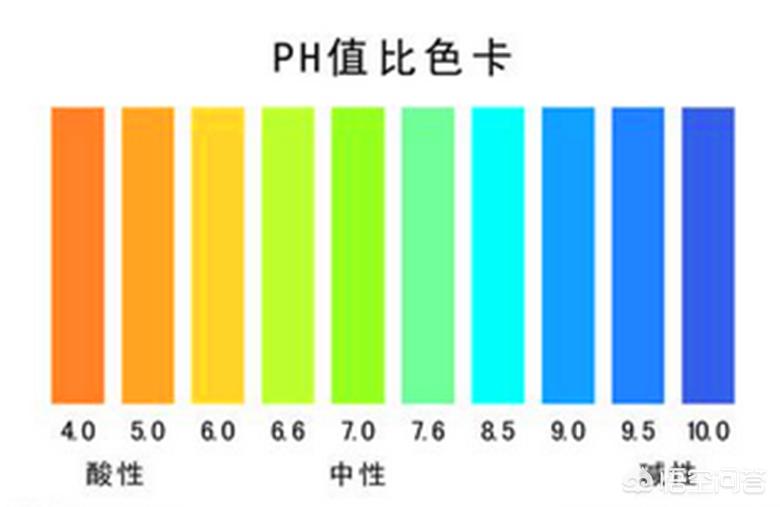 神木魚缸(沉木會讓水變酸嗎)