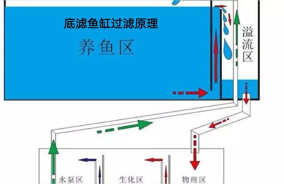 巴彥淖爾魚池過濾濾材:魚缸有沒有必要添加一大堆各種品牌濾材 廣州水族器材濾材批發(fā)市場