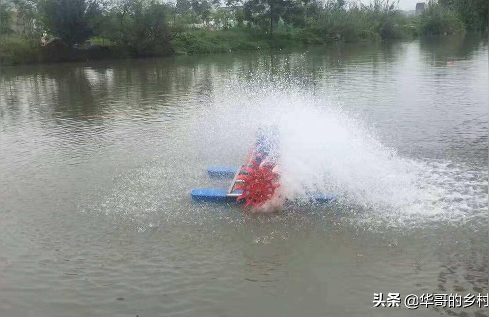 邯鄲魚池水泵設(shè)備:魚池水泵電線怎么防雨水