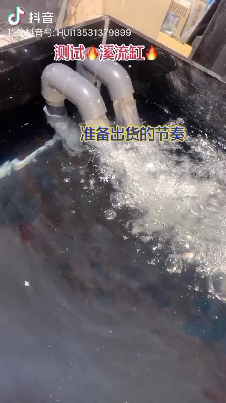 日照觀賞魚(yú)市場(chǎng)流溪缸