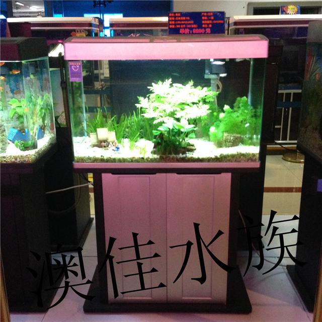 香港魚缸定制:香港哪里有魚缸買