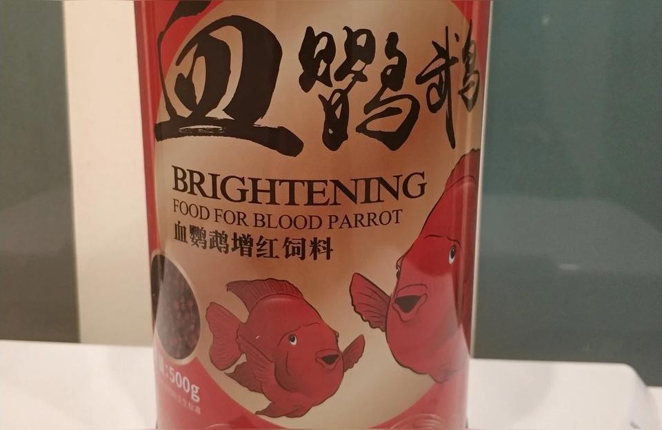 財神鸚鵡:財神鸚鵡魚能喂蝦嗎