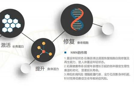 藍帆三間:深度分析藍帆醫(yī)療為什么不漲 藍帆三間魚