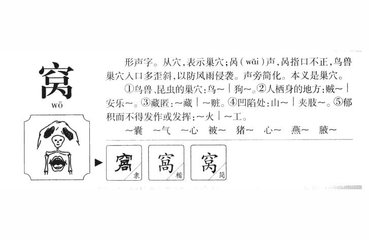 窩:窩字趣味識(shí)字 生態(tài)瓶/創(chuàng)意缸/桌面微景缸