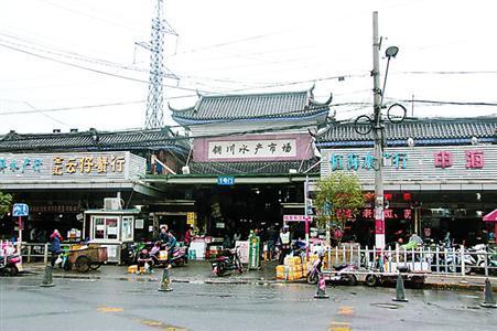 銅川觀賞魚批發(fā)市場