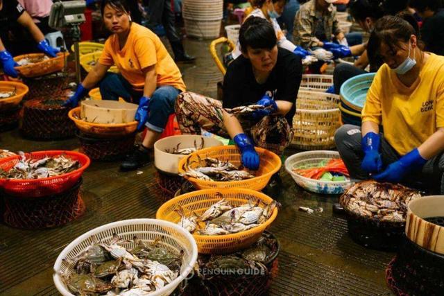 舟山觀賞魚批發(fā)市場