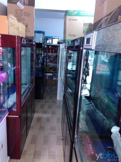 煙臺哪有水族用品店:煙臺三站那里有賣成品魚缸的