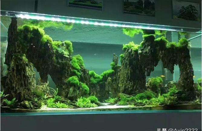 辦公桌面小魚(yú)缸造景流沙高缸中式DIY水草缸家用中式小型生態(tài)魚(yú)缸 水草