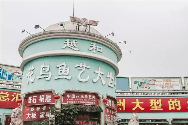 荊州花鳥魚蟲市場(chǎng):荊門市鐘祥狗市在哪