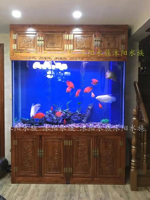 阿拉善盟魚(yú)缸定做:魚(yú)缸定做好還是買(mǎi)成品缸好