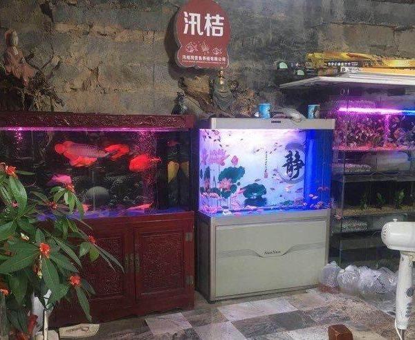 泉州魚缸售后維護電話:佳寶魚缸怎么樣 觀賞魚水族批發(fā)市場