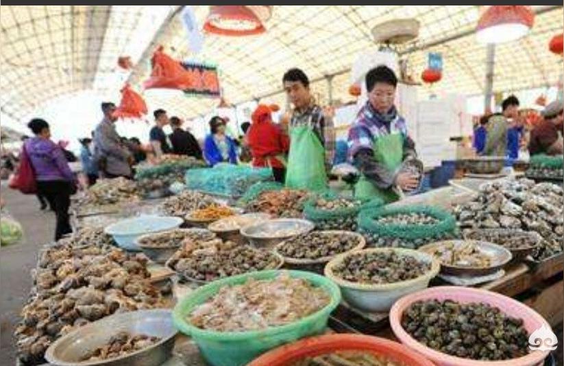 保定龍魚批發(fā)市場:離保定最近的批發(fā)冷凍魚和活鯽魚市場在哪