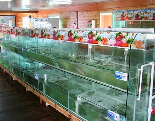 宿遷魚缸定做:魚缸定做好還是買成品缸好