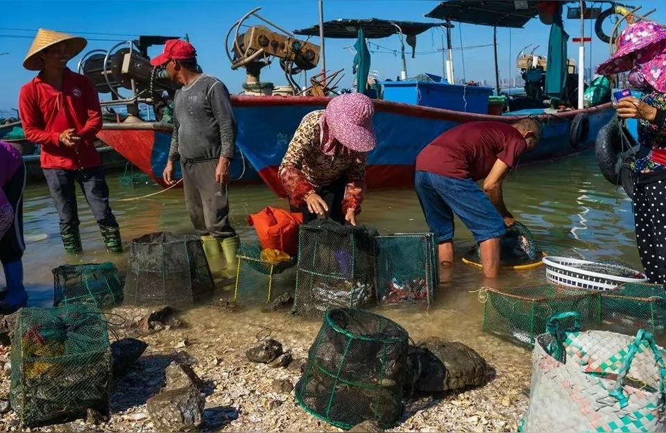 廈門龍魚批發(fā)市場:金龍魚哪里有