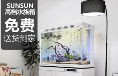 魚缸品牌知乎:想放在客廳電視柜上 魚缸百科