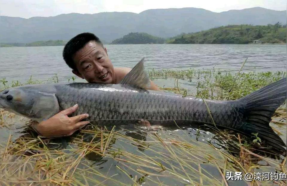 魚竿十大品牌排名:什么魚竿最好排名第一