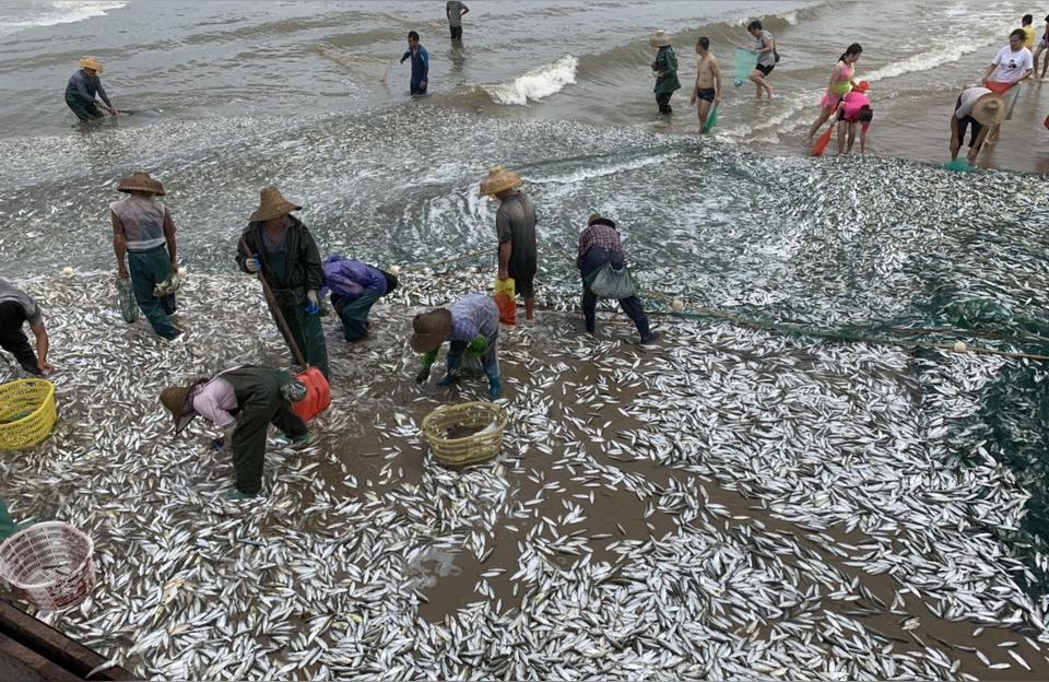 湛江花鳥魚蟲市場:懷特花鳥魚蟲市場2022年?duì)I業(yè)時(shí)間