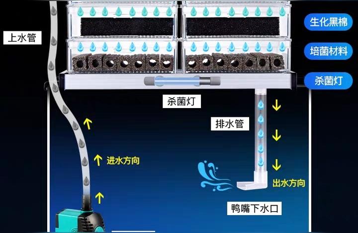 博特魚缸變頻水泵官網(wǎng):變頻水泵頻率降不下來