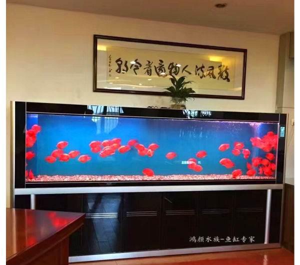 鶴崗魚缸售后維護電話:basion魚缸是什么品牌 觀賞魚水族批發(fā)市場